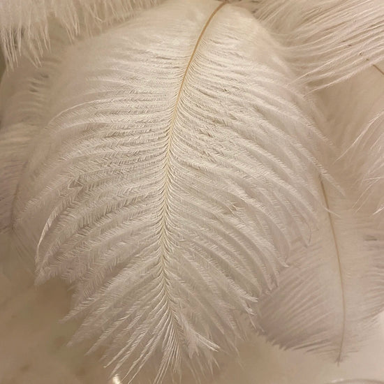 Lampe de chevet Plumes Tactile LED - lampechevetdesign.com