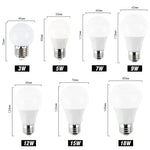 KARWEN Ampoule LED Bulb E27 E14 3W 5W 7W 9W 12W 15W 18W Smart IC LED lamp Light Cold White White Lampada Bombilla Lamp - lampechevetdesign.com