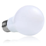 KARWEN Ampoule LED Bulb E27 E14 3W 5W 7W 9W 12W 15W 18W Smart IC LED lamp Light Cold White White Lampada Bombilla Lamp - lampechevetdesign.com